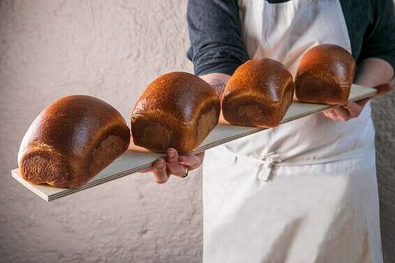 צילום: שי נייבורג